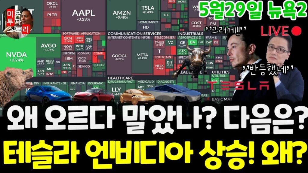 엔비디아 상승! 테슬라 주춤! 왜?