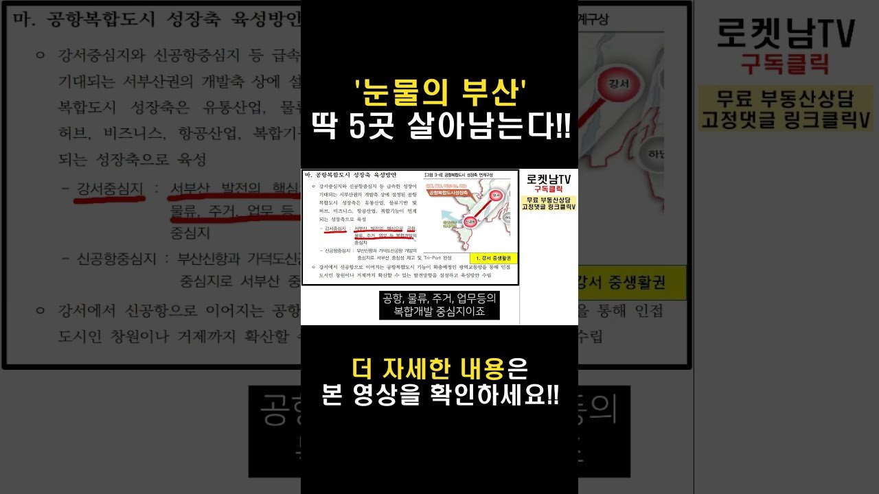 외지인들이 다 망쳐 놨어요: 눈물의 부산 부동산 현황과 전망