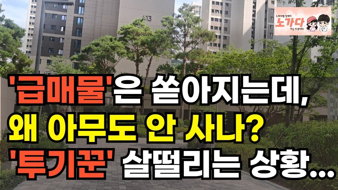 서울 부동산 심리, 거래 중단의 원인과 전망