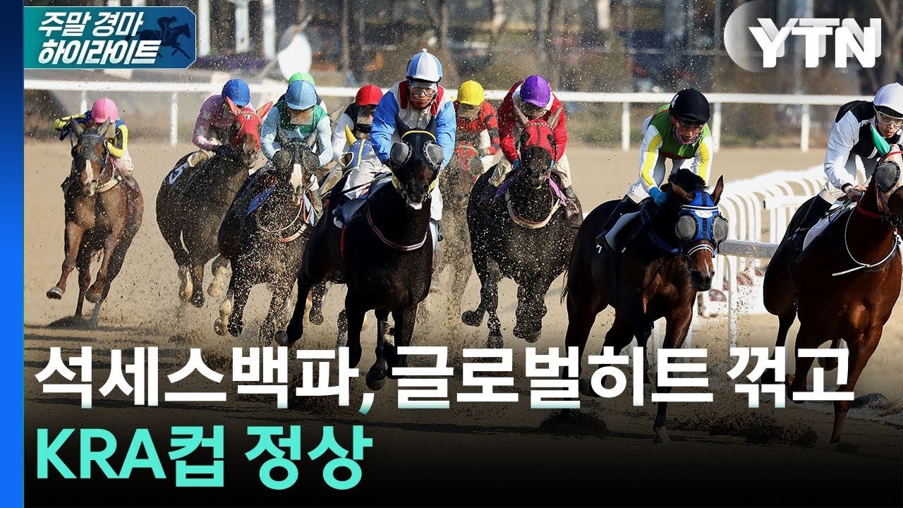 주간 경마 하이라이트: 석세스백파, KRA컵 정상 등극