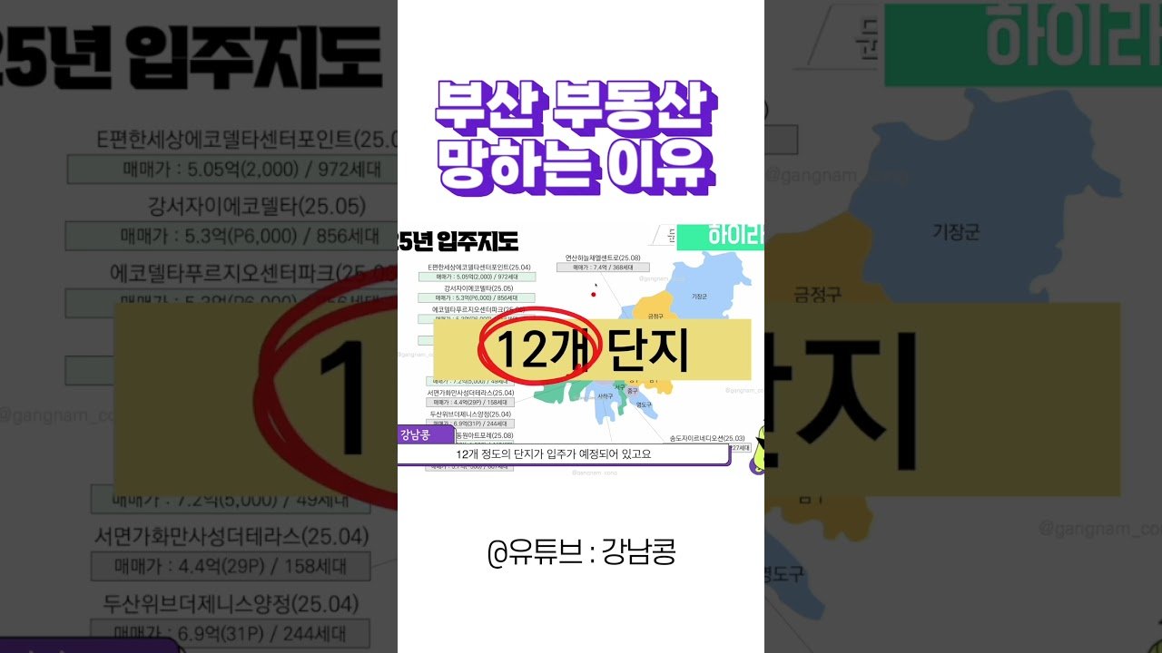 부산 부동산의 미래와 강남콩의 분석