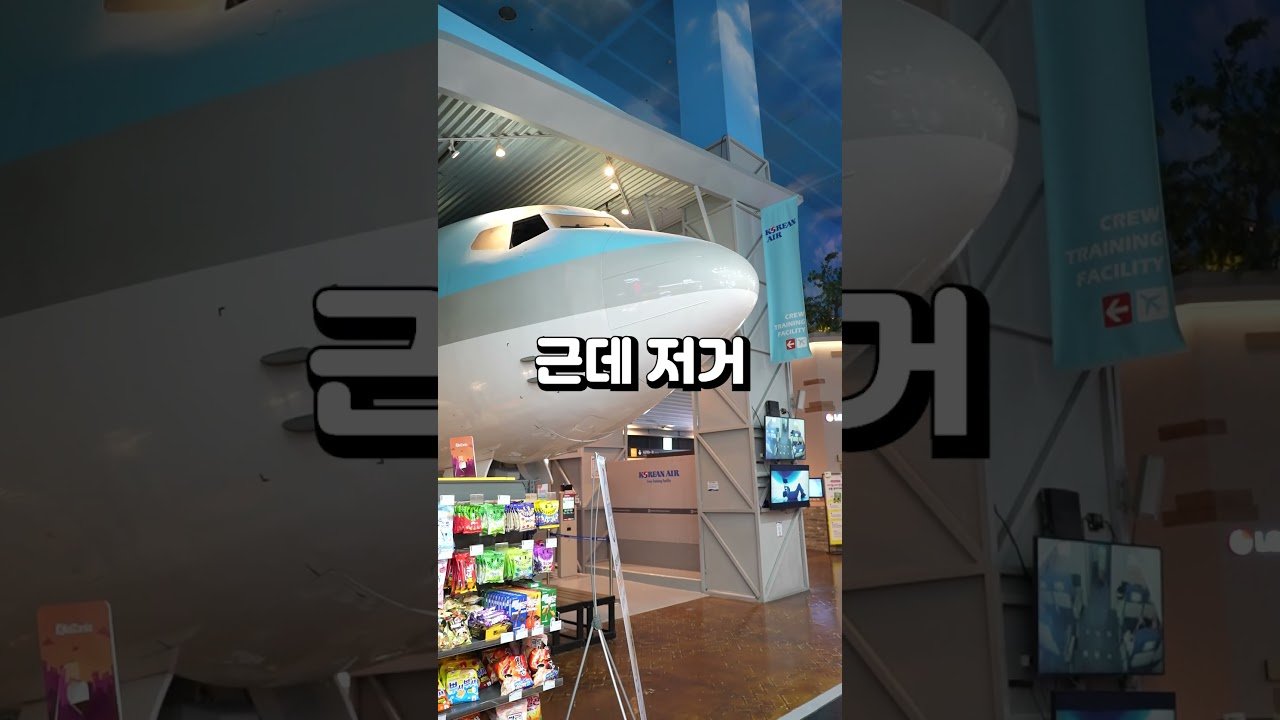 키자니아 비행기는 진짜일까? 가짜일까?